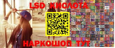 стаф Славгород