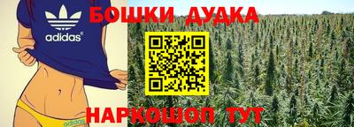 стаф Славгород