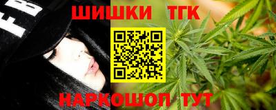 сатива Сланцы