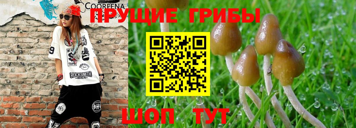 Псилоцибиновые грибы MAGIC MUSHROOMS Новокубанск