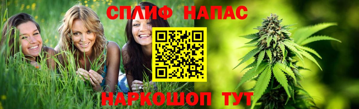 Конопля марихуана Новокубанск